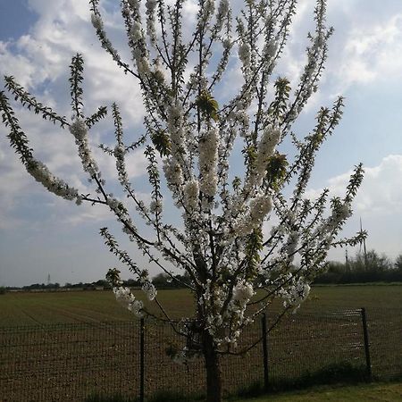 le vol au vent Bed and Breakfast Wornicourt Buitenkant foto